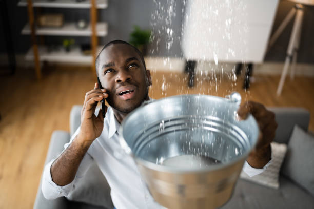 Best Water damage mitigation services  in Durand, MI