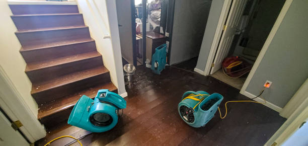 Best Sewage cleanup and water damage restoration  in Durand, MI