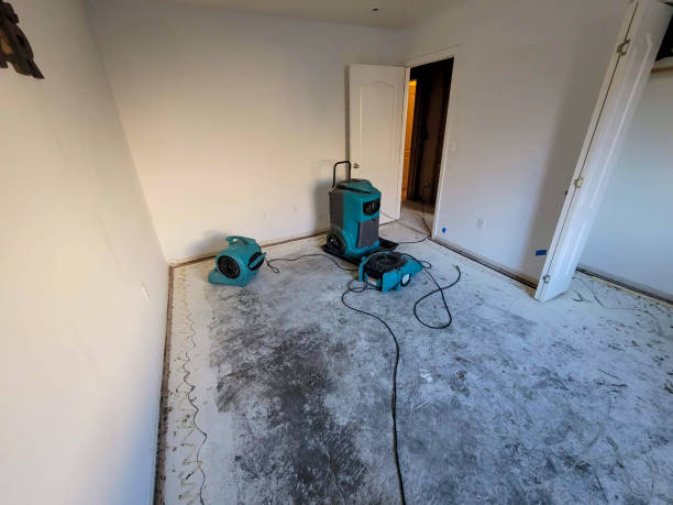 Best Mold removal after water damage  in Durand, MI