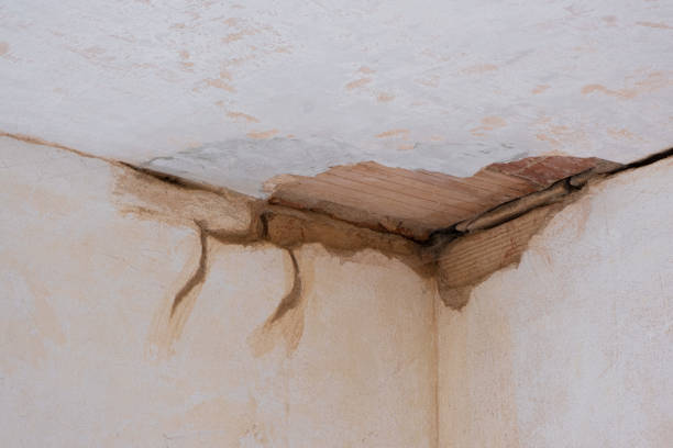 Best Sewage cleanup and water damage restoration  in Durand, MI