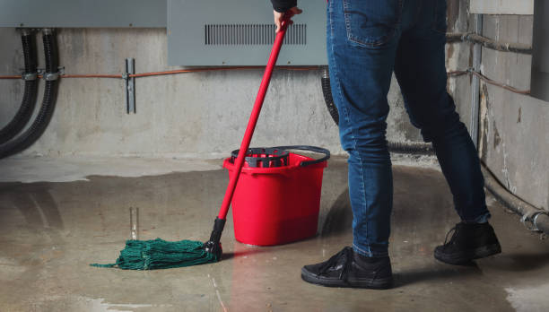 Best Water damage restoration near me  in Durand, MI