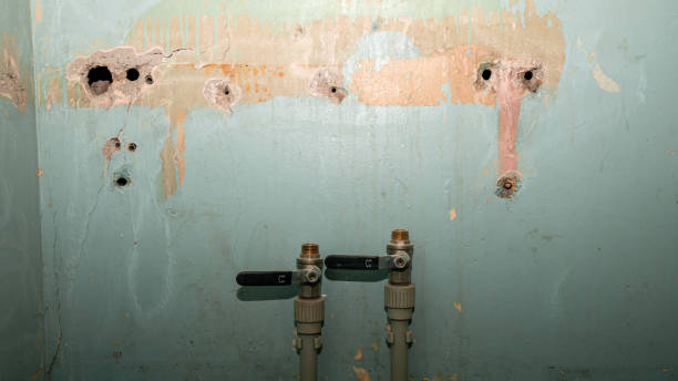 Best Flood restoration services  in Durand, MI