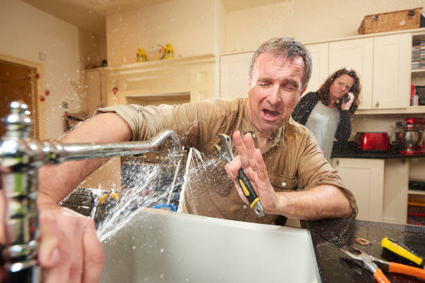 Best Water damage repair service  in Durand, MI